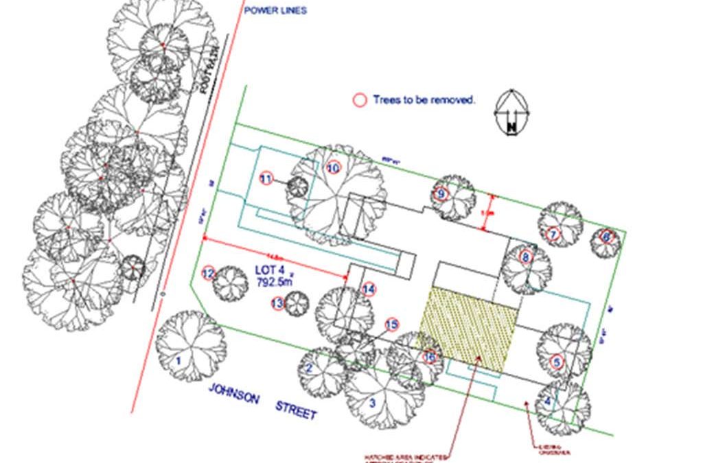 What is an Arboricultural Impact Assessment?