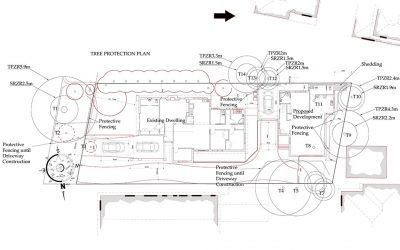 The Tree Protection Zone and the Structural Root Zone